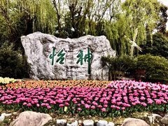 -上海鲜花港