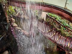 -正佳雨林生态植物园