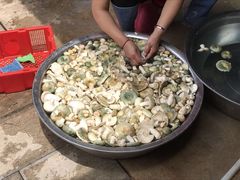 -双喜农庄·菌香园(安居家园店)