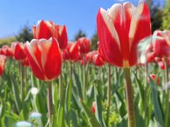 -长春公园(普阳街道)