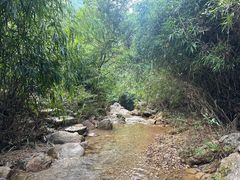 -南海湾森林生态园
