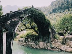 -鹿亭中村