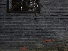 -寂照庵