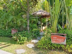 -碧桂园润杨溪谷温泉酒店