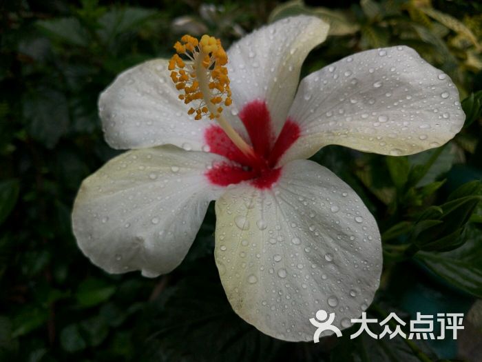 恩尼斯总统前地图片 - 第3张