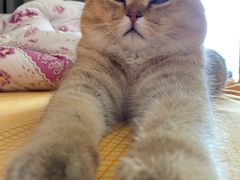 -佳明游泳馆(惠新西街南口店)