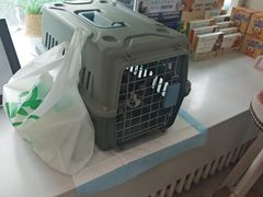 -纳吉亚猫专科动物医院·北北分院
