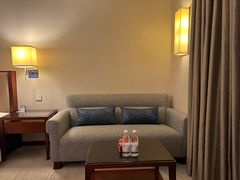 -惠州康帝国际酒店