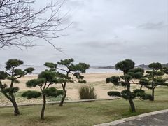 -普陀山风景区-佛顶山