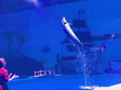 -华夏文旅海洋公园