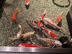 -0776食堂·京城创意菜(七里庄店)
