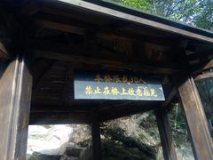 -九鲤湖风景区