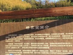 -杨家堂村