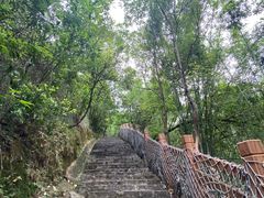 -广州白江湖森林公园