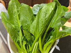 -味舵主重庆火锅(邓尉路店)