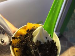 -Salud撒露欧洲冻酸奶(蓝色港湾店)