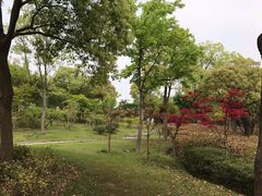 -金匮公园-南入口停车场