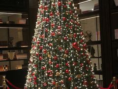 -行者书屋大堂吧 ·下午茶(南京圣和府邸酒店)