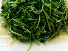 炒豆苗-渔中舟海鲜大排档(普陀沈家门店)