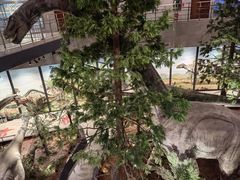 -湖南省地质博物馆