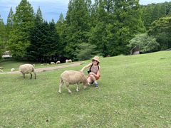 -神户市立六甲山牧场