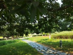 -白塘生态植物园