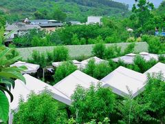 -桃源山庄·水蜜桃采摘·柴火鸡·烧烤团建(龙泉山店)