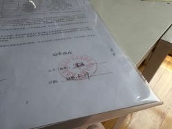 -美悦月子中心(财大店)