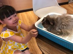 -藦茜花园宠物主题亲子互动体验馆(国顺东路店)