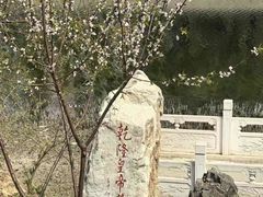 -桃花堤公园