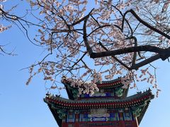 -颐和园