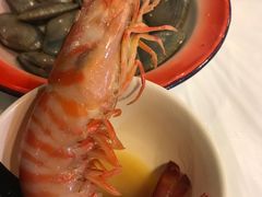 -鲜入围煮花胶鸡海鲜火锅