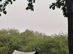 -哈尔滨大剧院