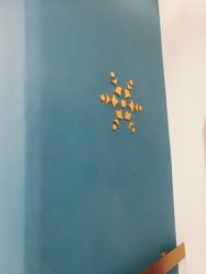 -More摩尔医美の注射线雕光电中心