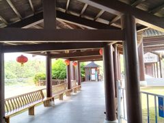 -鄱阳湖国家湿地公园