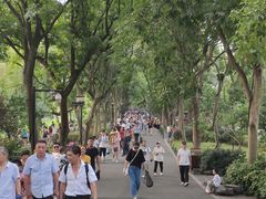 -西湖外事游船(花港观鱼码头)