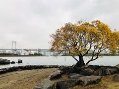 -台场海滨公园船码头