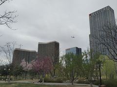 -西海子公园