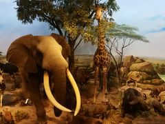 -陕西自然博物馆