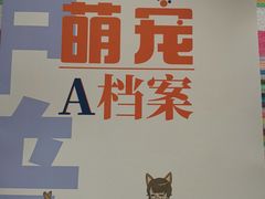 -申普宠物医院·心脏介入·心血管微创(总院)