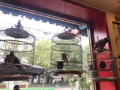 -红红烤鸭店(西单店)
