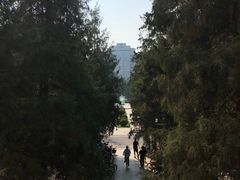 -北京理工大学国际交流中心