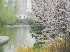 -团结湖公园