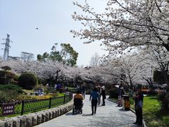 -堤角公园