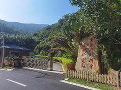 -杨梅坑