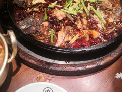 -老板恋上鱼(高新万达店)