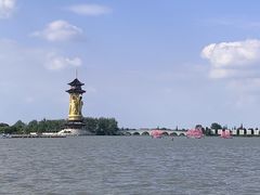 -溱湖国家湿地公园