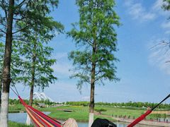 -春花秋色城市公园