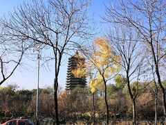 -玲珑塔公园