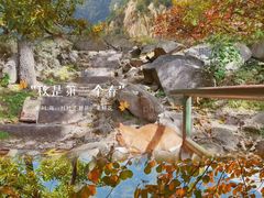 -秦岭风景区